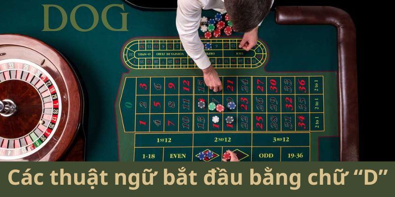 Những thuật ngữ casino phổ biến bắt đầu bằng chữ 'D'